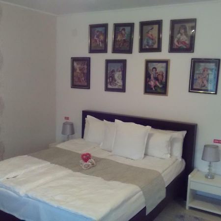 Pensiunea Casa Elena Agnita ภายนอก รูปภาพ