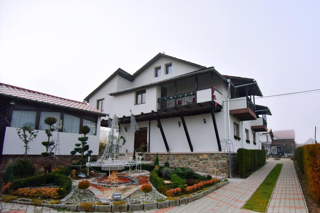 Pensiunea Casa Elena Agnita ภายนอก รูปภาพ